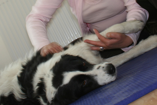 Massage