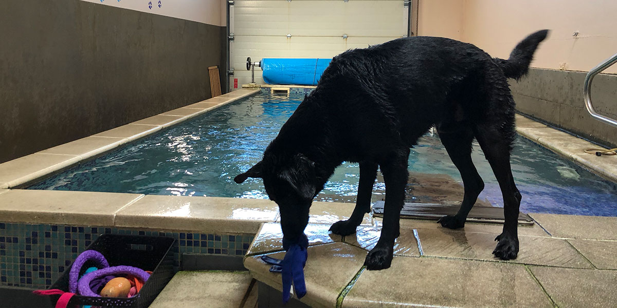 Hydrotherapie