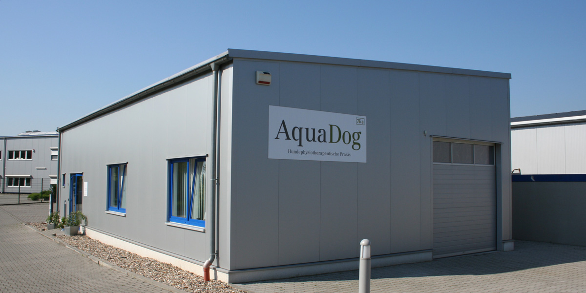 AquaDog